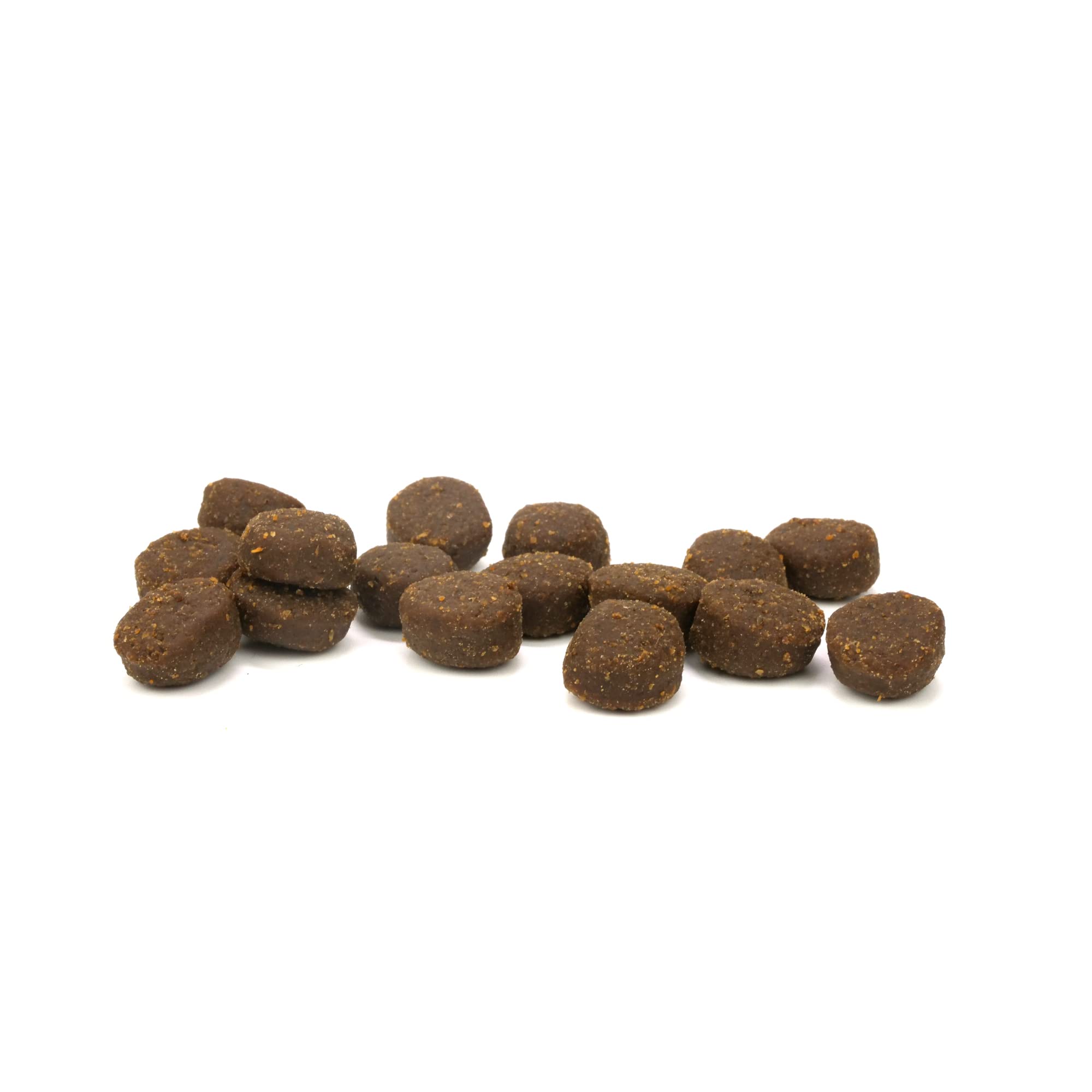 Healthy Breeds German Wirehaired Pointer Premium Protein Bites Chicken Dog Treats - All Natural, Grain Free Training Snacks for Medium & Large Breeds - Perfect for Obedience Training & Rewarding Good Behavior (10 oz)