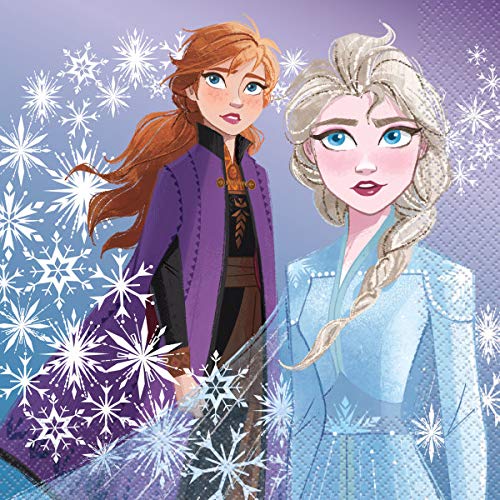 Frozen Elsa & Anna Princess Birthday Party Supplies Set - 16 Cake Plates, 16 Napkins, 16 Cups, Hanging Swirl Decor, Birthday Banner, Dinosaur Stickers - Perfect for Disney Themed Parties, Kids Birthday Celebrations & Frozen Character Events