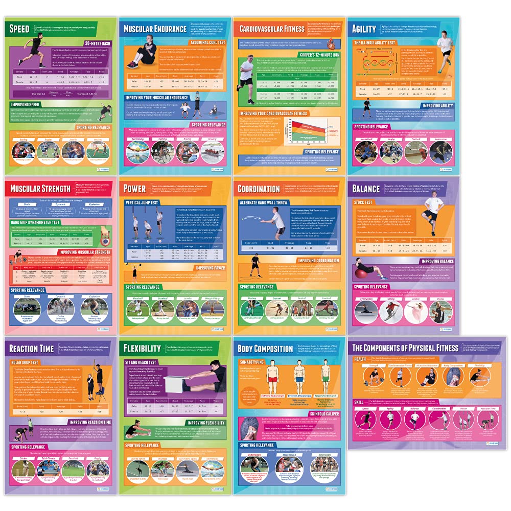 Daydream Education Components of Physical Fitness Posters - Set of 12 - EXTRA LARGE 33” x 23.5” - Gloss Paper - PE Classroom Decor for Middle & High School - Educational Wall Charts - Perfect for Gymnasiums, Fitness Centers & Home Workout Spaces