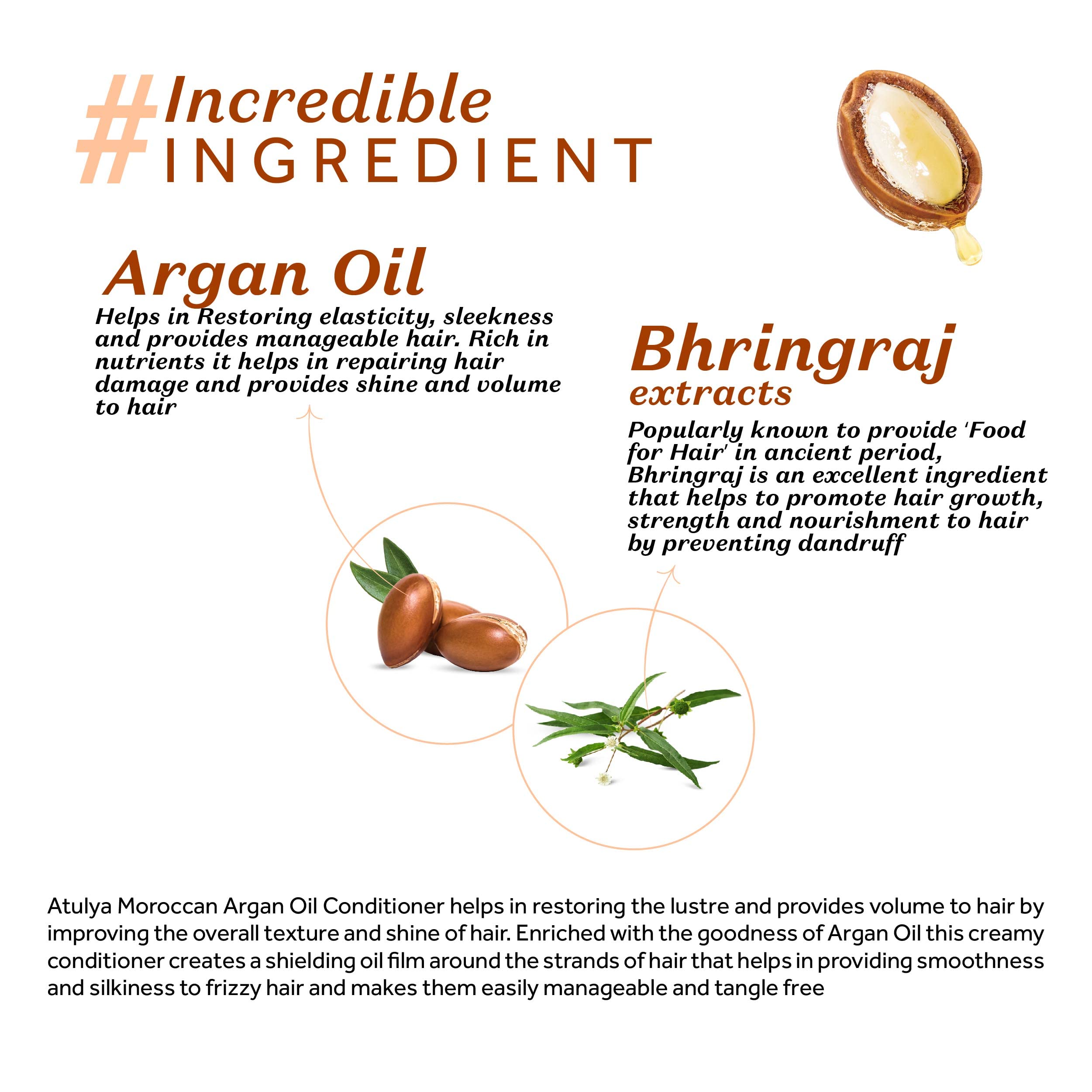 Atulya Moroccan Argan Oil Conditioner for Hair - Natural Hydrating & Repairing Treatment for Dry, Damaged Hair - Perfect for Daily Use & Salon-Quality Results at Home