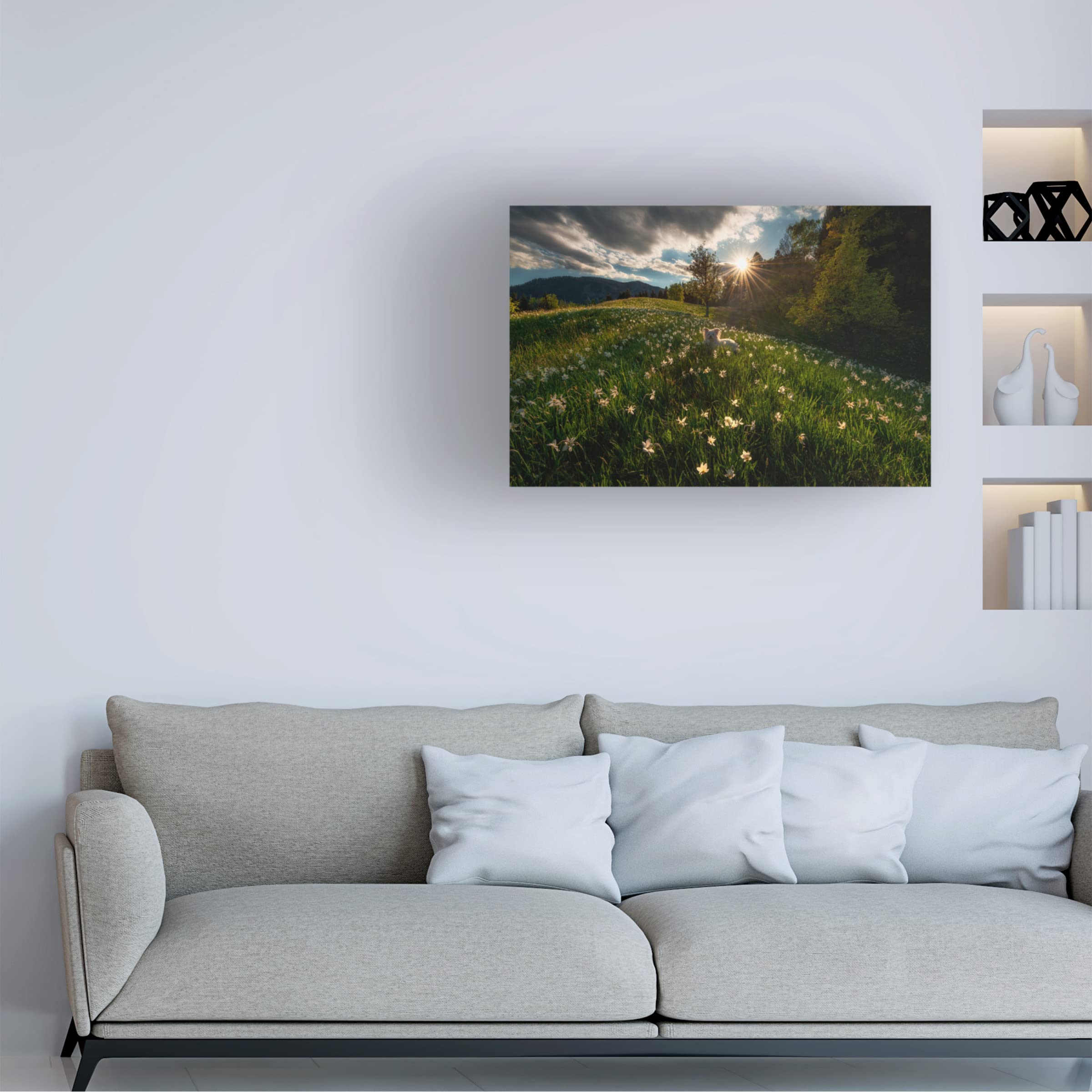 Trademark Fine Art 'Among The Daffodils' Canvas Wall Art Print by Ales Krivec - Floral Landscape Painting for Living Room, Bedroom & Office Decor