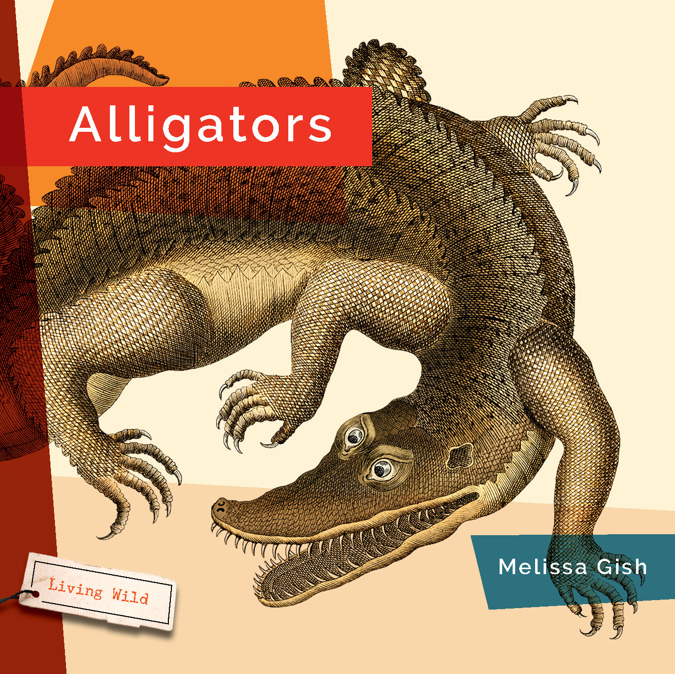 Alligators Book 9781640265936 - Wildlife Education & Nature Exploration for Kids & Adults - Perfect for Classroom Learning & Home Reading