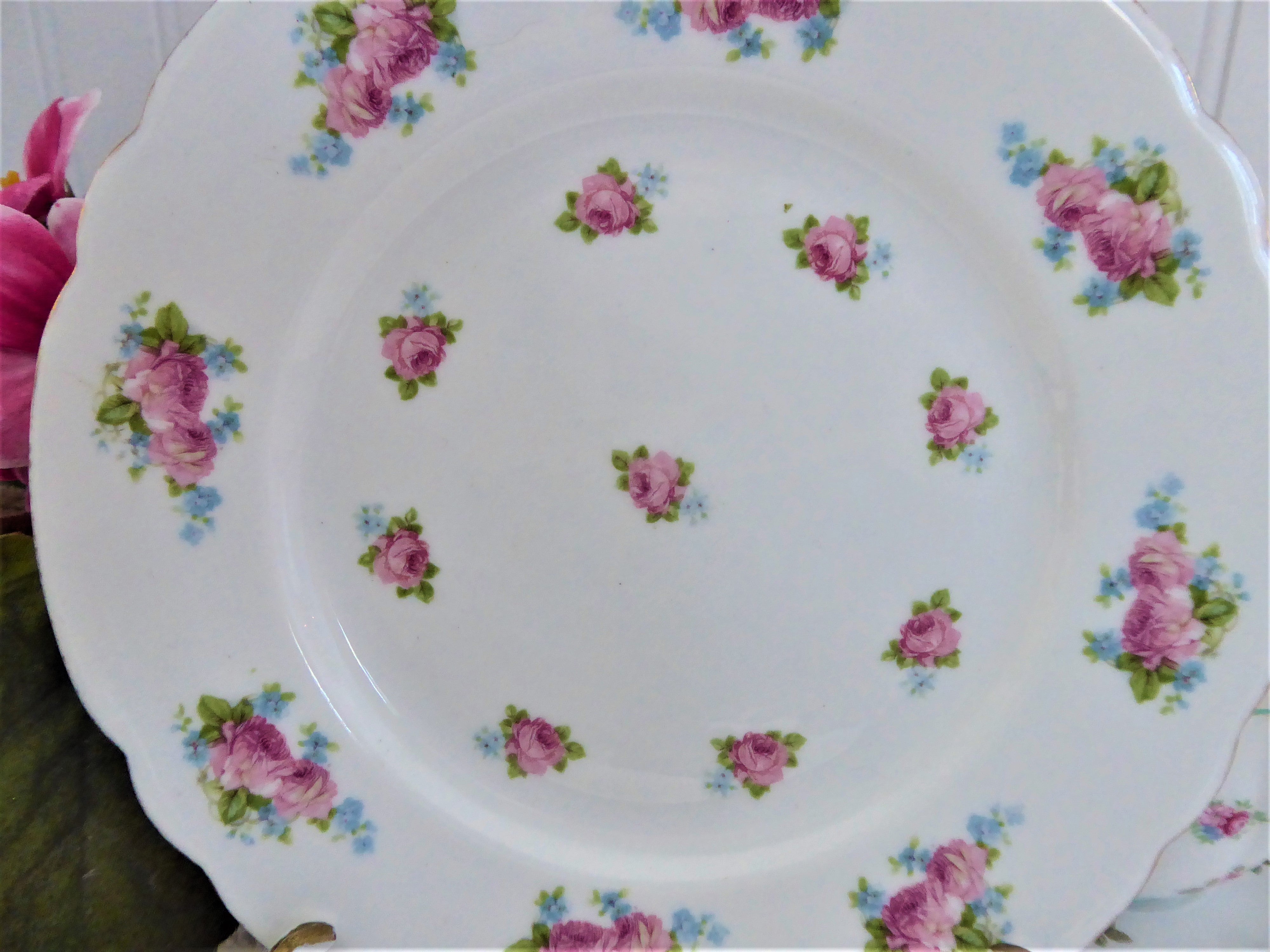 Gainsborough Shelley 7-Inch Salad Plate with Roses & Forget-Me-Nots Floral Design - Perfect for Desserts, Appetizers & Elegant Dining Table Setting