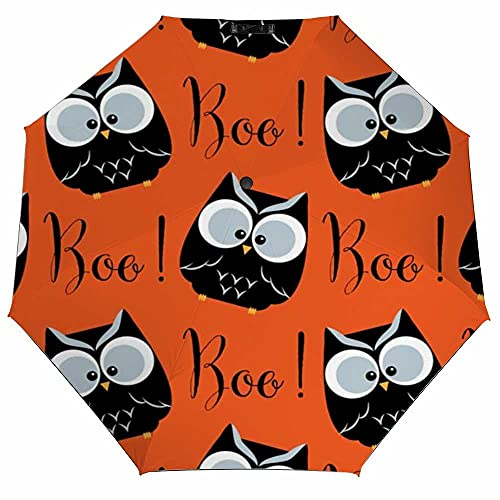 Halloween Pattern Cute Owls Boo