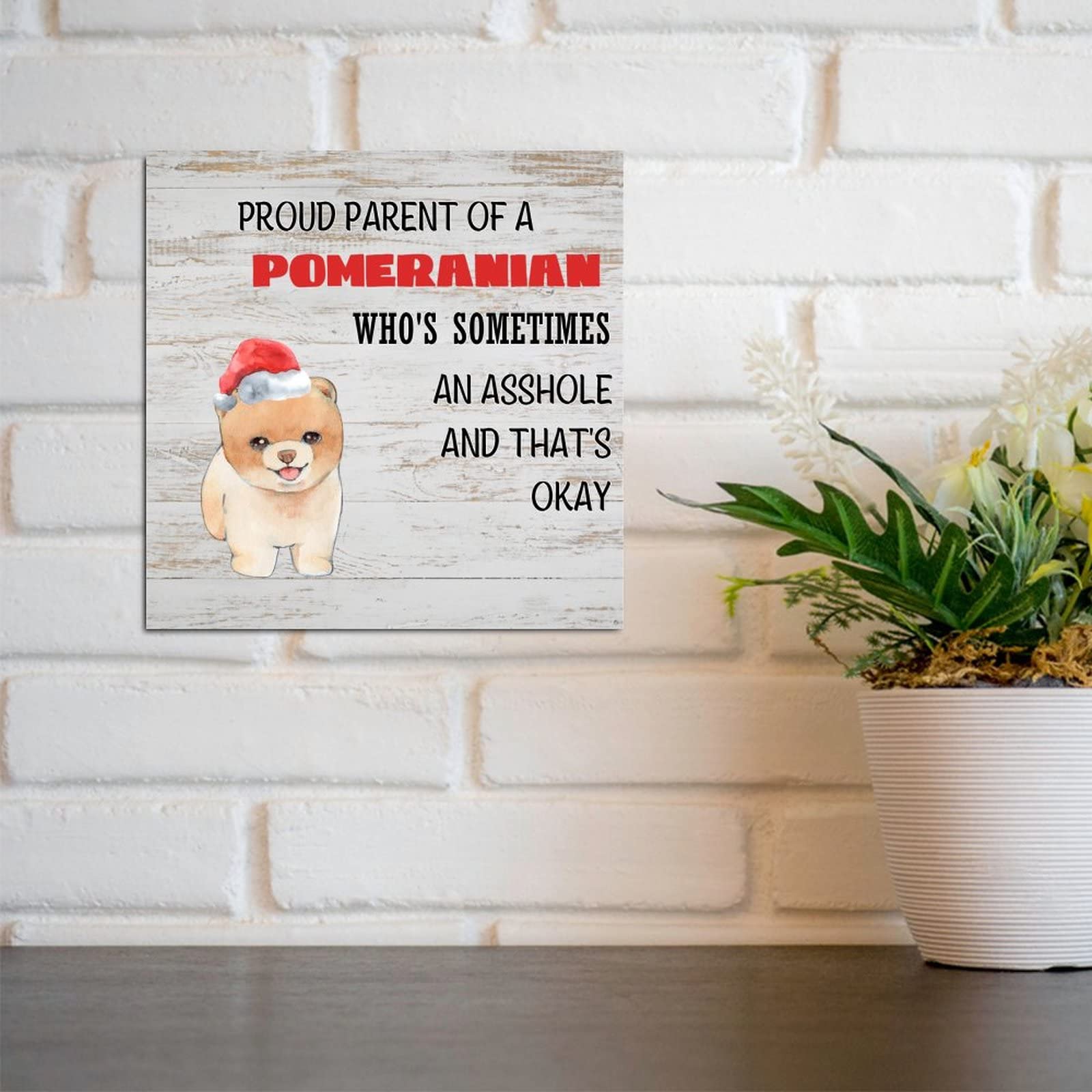 Funny Dog Parent Sign - Wooden Wall Decor for Proud Pomeranian Owners | Gift for New Puppy Mom & Dog Dad | 12x12 Inch Pet Quote Plaque | Perfect for Nursery, Living Room & Dog Lover's Home Decor