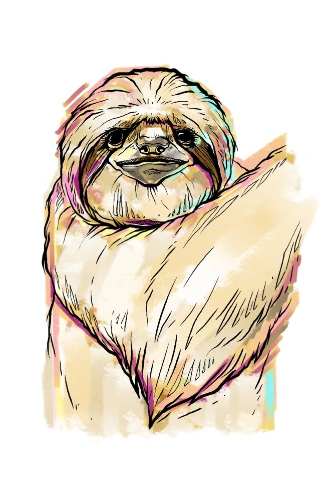 Sloth Art Print - 36x54 Inch Giclee Gallery Quality Watercolor Wall Decor | Tropical Travel Poster for Home, Office & Nursery Decor