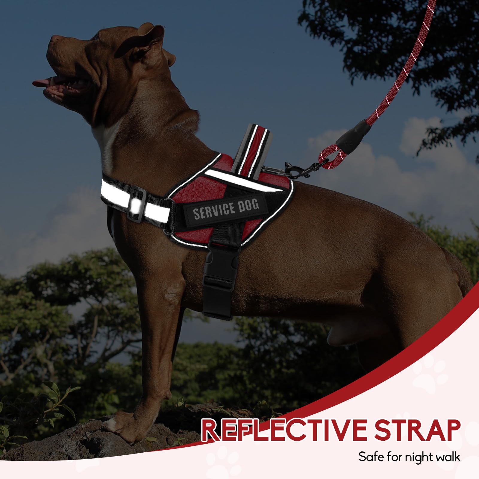 Service Dog Vest Harness and Leash Set - Adjustable Training Harness with 10 Patches, Reflective Leash & Soft Padded Handle for Small to XL Dogs (Red, XS) - Perfect for Therapy, Assistance & Outdoor Activities