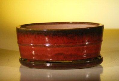 Parisian Red Ceramic Bonsai Pot - Oval Professional Series with Humidity/Drip Tray (10.75 x 8.5 x 4.125 inches) - Perfect for Indoor Bonsai Trees, Zen Gardens & Home Decor