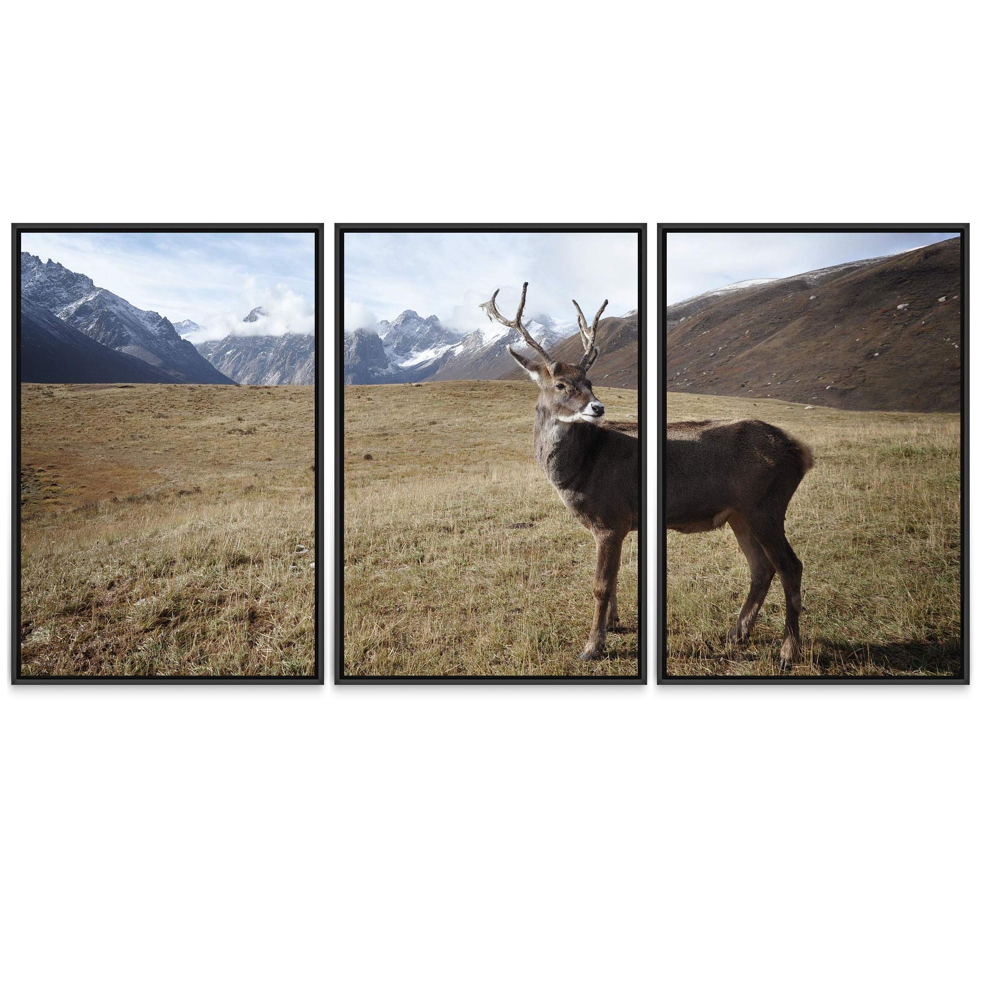 Spiritual Animals Deer Canvas Wall Art - 3 Piece Framed Prints (16
