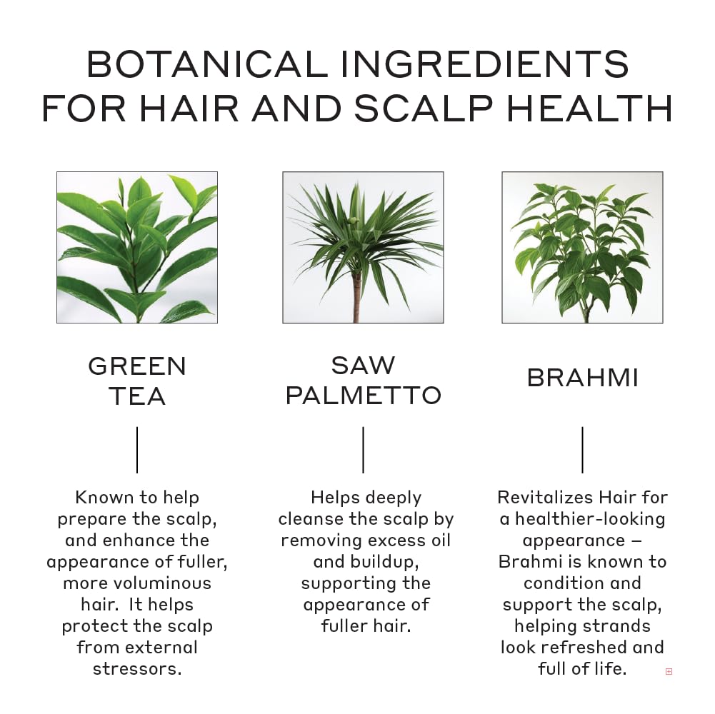 Zenagen Revolve Hair Growth Treatment for Men - Clinically Proven Thickening & Anti-Hair Loss Solution - Best for Thinning Hair & Receding Hairline - Daily Use for Healthier, Fuller Hair