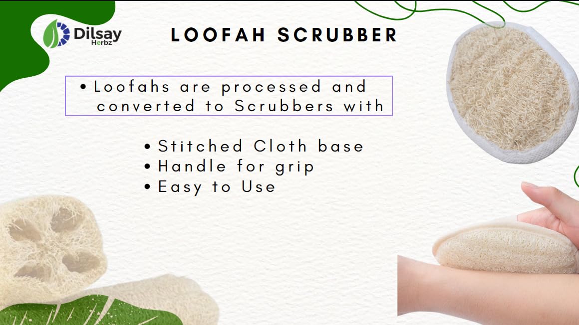 Organic Loofah Scrubber with Cloth Base & Handle - Biodegradable & Disposable Oval Body Scrubber for Men & Women (Pack of 4) - Perfect for Shower, Bath & Exfoliating Dry Skin
