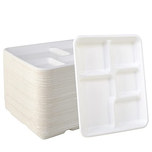 5 Compartment White 500