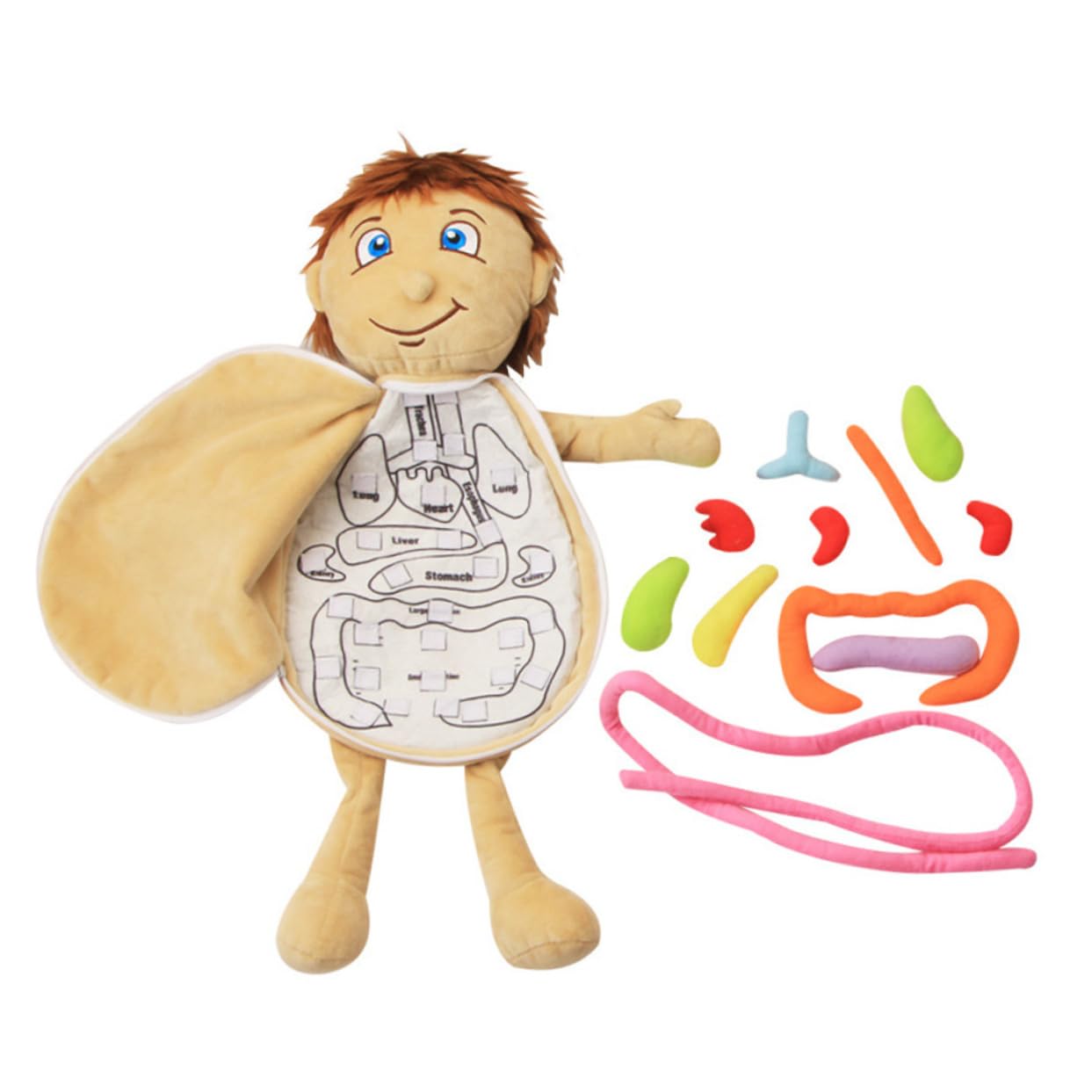 Educational Stuffed Toy for Kids - Human Body Anatomy Plush Puzzle | Early Childhood Learning & Development | Perfect for Preschool STEM Activities & Interactive Play