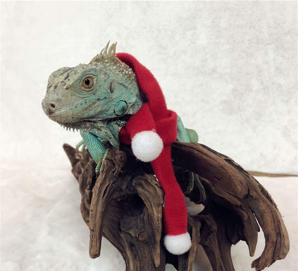 HAICHEN TEC Bearded Dragon Christmas Outfit - Handmade Flannel Lizard Costume with Hat & Scarf Set | Reptile Apparel for Holiday Photos & Festive Pet Parties