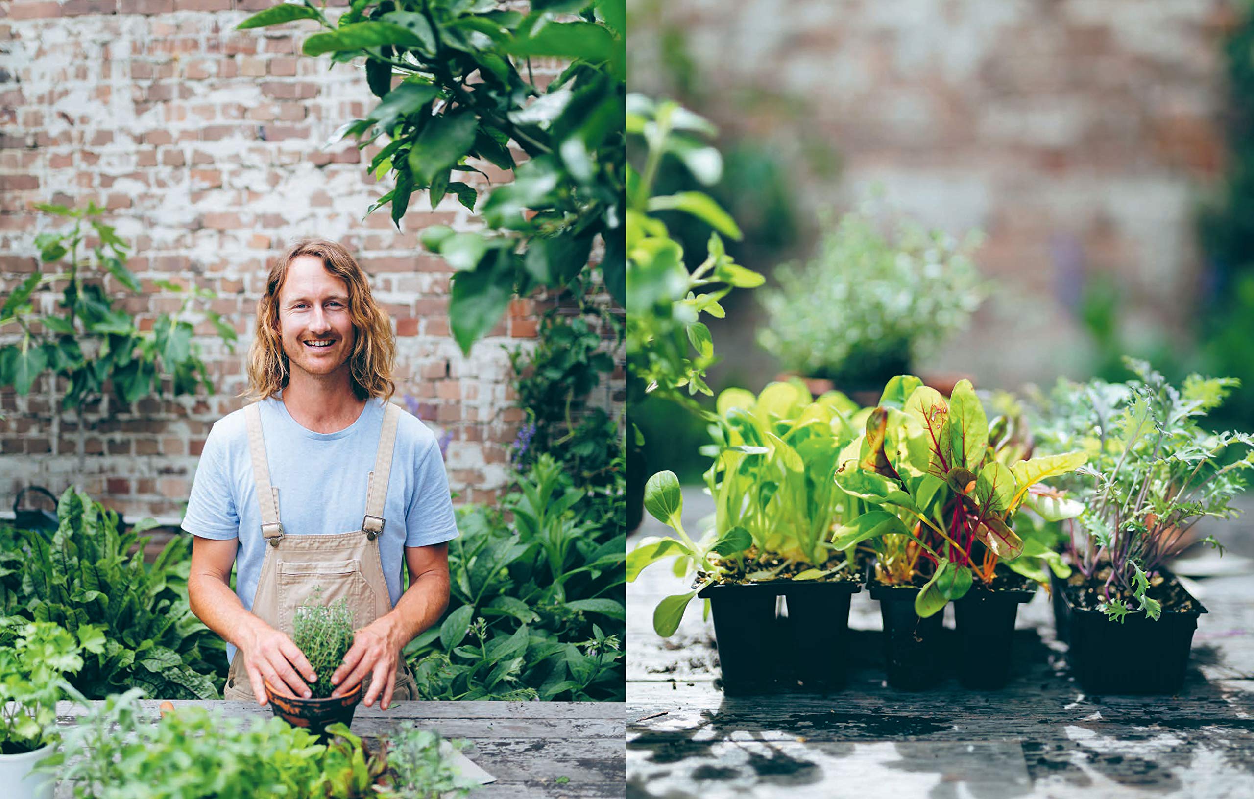 Slow Down and Grow Something: The Urban Grower's Guide to Sustainable Living – Perfect for Apartment Balconies, Rooftop Gardens & Small Urban Spaces
