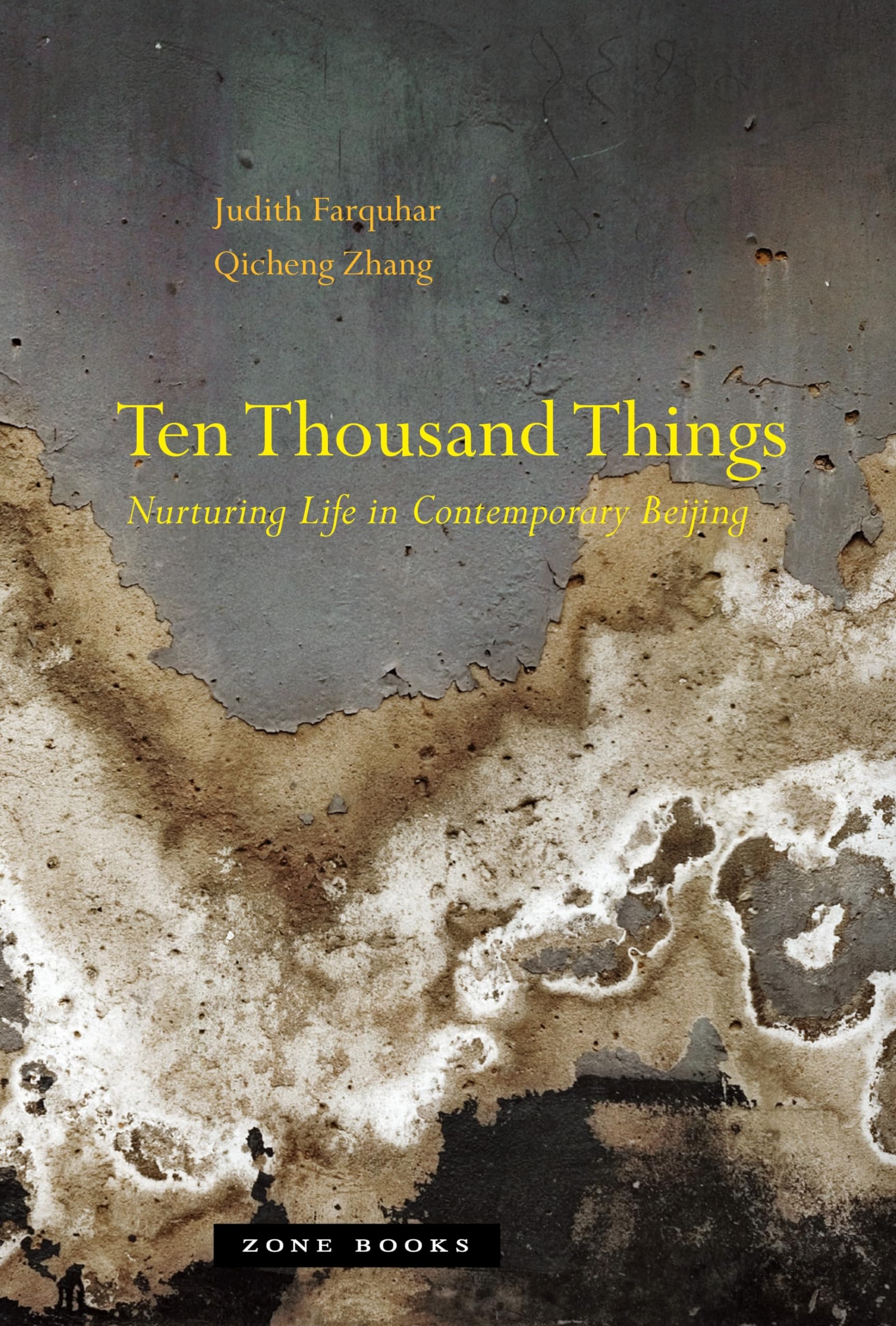 Ten Thousand Things: Nurturing Life in Contemporary Beijing - MIT Press Book on Chinese Culture & Urban Studies | Perfect for Academics, Anthropologists & Beijing Enthusiasts