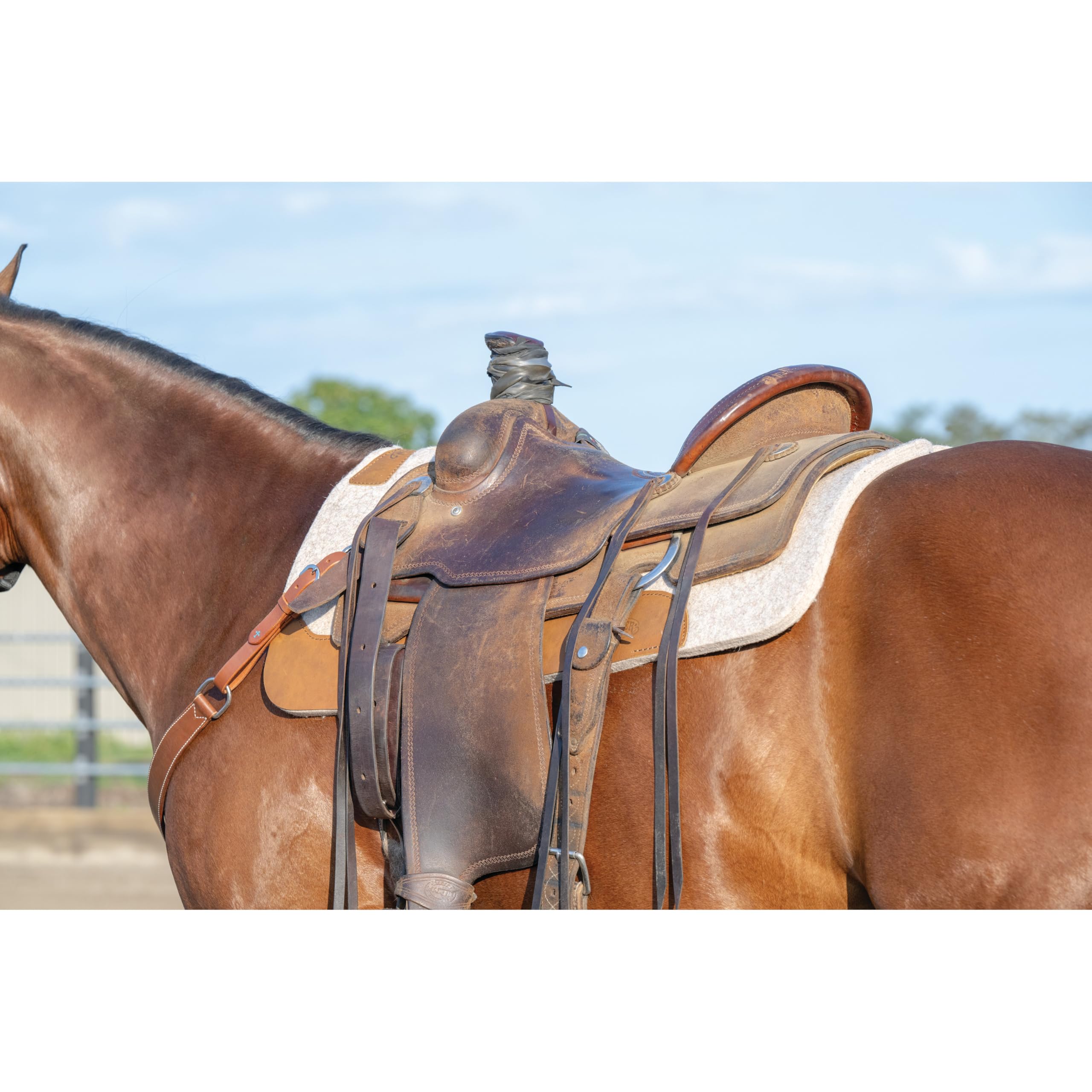 Weaver Equine 33