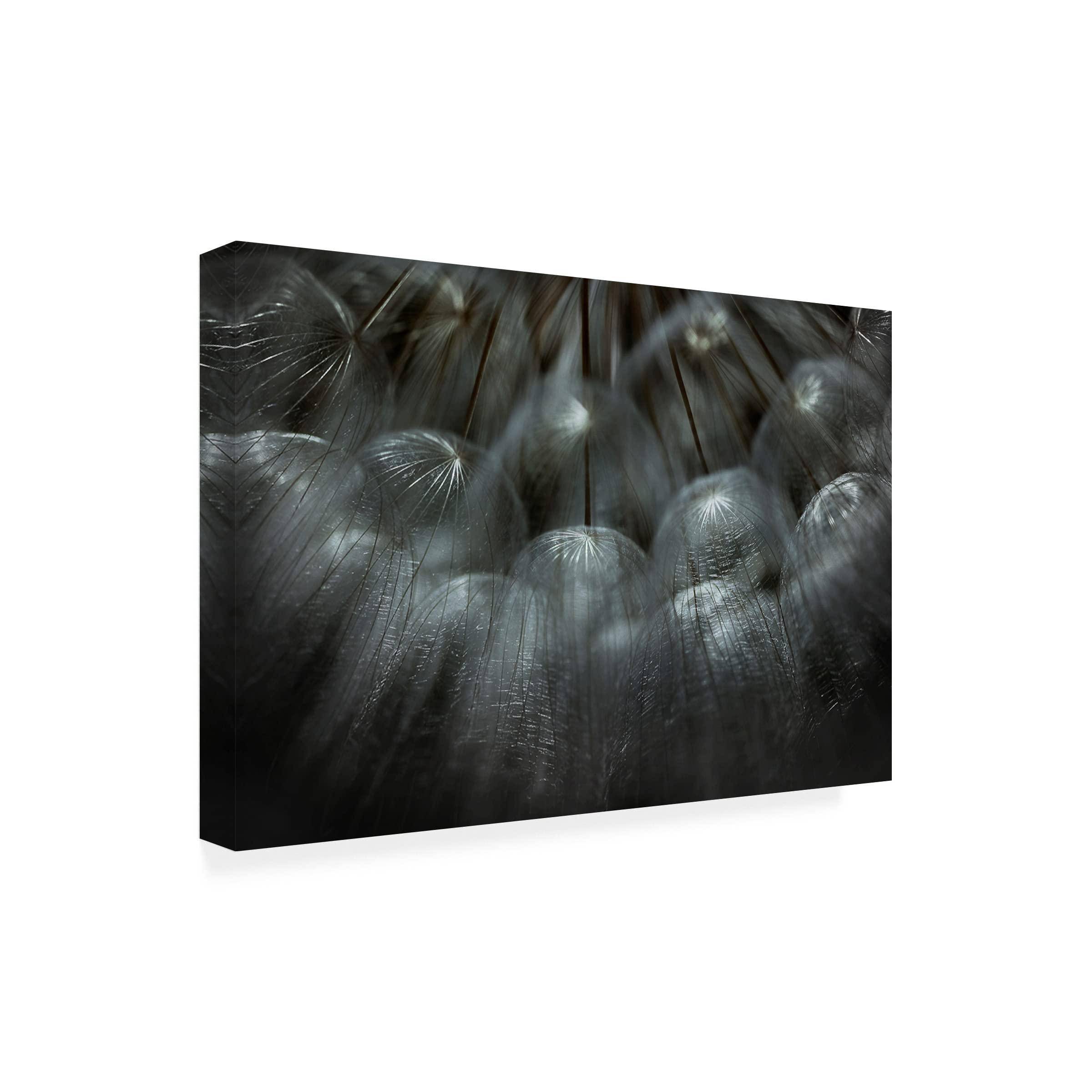 Trademark Fine Art 'Soffione' Canvas Wall Art by Antonio Grambone - Elegant Home Decor for Living Room, Bedroom & Office