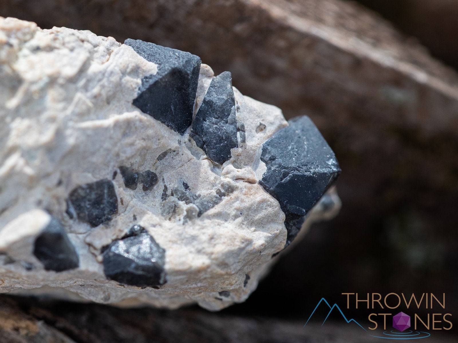 Natural MORION SMOKY QUARTZ Raw Crystal Cluster - Healing Stone for Home Decor, Housewarming Gift & Energy Healing (39865) | Perfect for Meditation, Feng Shui & Spiritual Practices