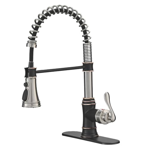 Brushed Nickel with Oil Rubbed Bronze