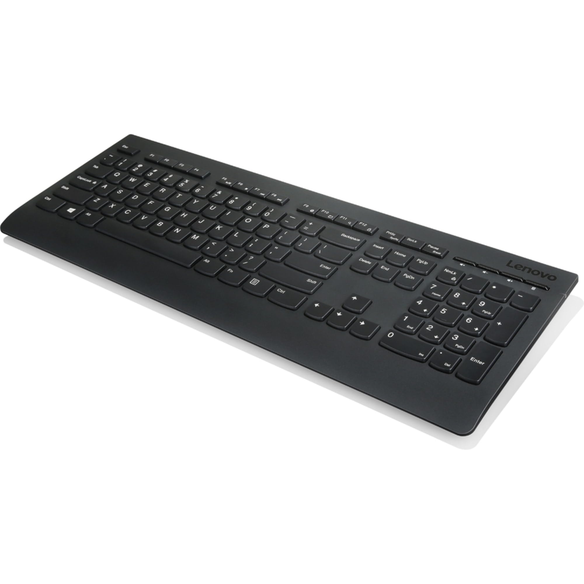 Lenovo Professional Wireless Keyboard and Mouse Combo - 2.4GHz USB Receiver, Full-Size Ergonomic Design, 24-Month Battery Life, Black | Perfect for Office, Home & Gaming Use