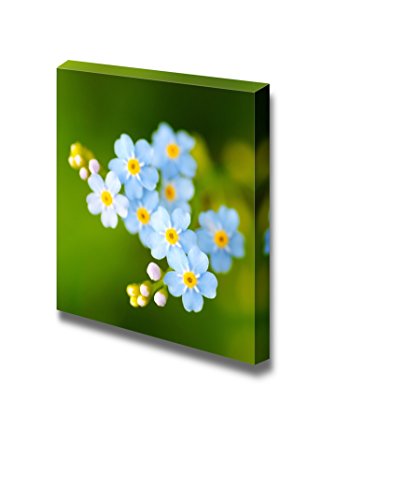 Little Flowers