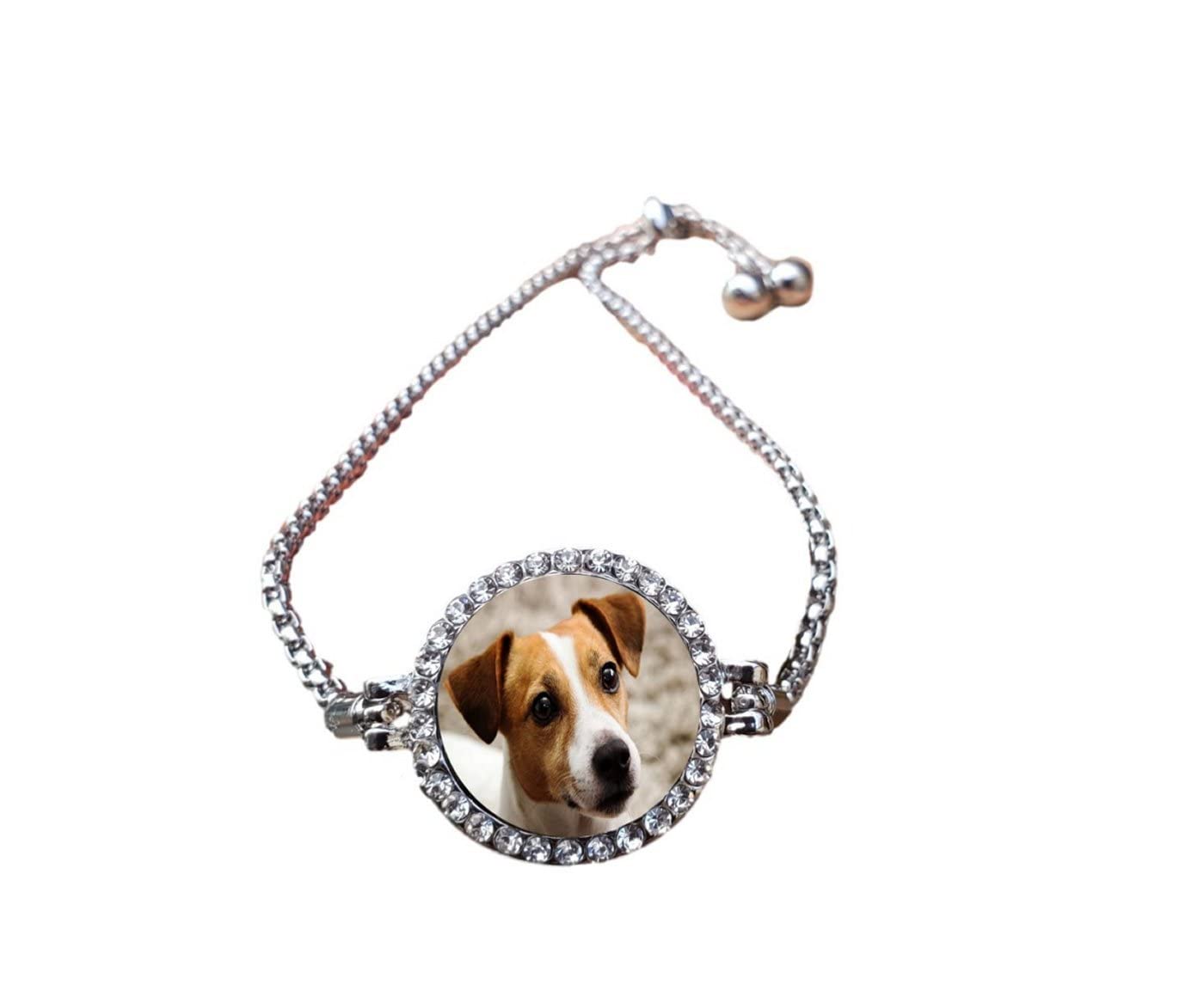 Jack Russell Dog Silver Plated Charm Bracelet with Cubic Zirconia - Perfect Gift for Pet Lovers & Dog Owners - Ideal for Birthdays, Anniversaries, and Special Occasions