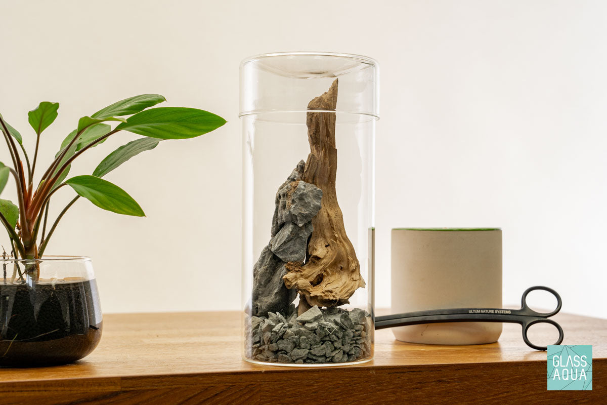Miniature Terrarium Kit 006 - DIY Glass Garden with Live Plants & Decorative Stones for Home Office Decor | Perfect for Gifts, Desk Decorations & Relaxation Therapy