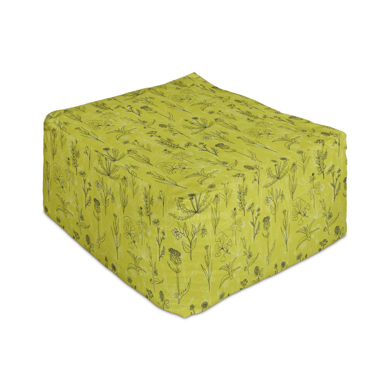 Ambesonne Botanical Rectangle Pouf Ottoman - 25
