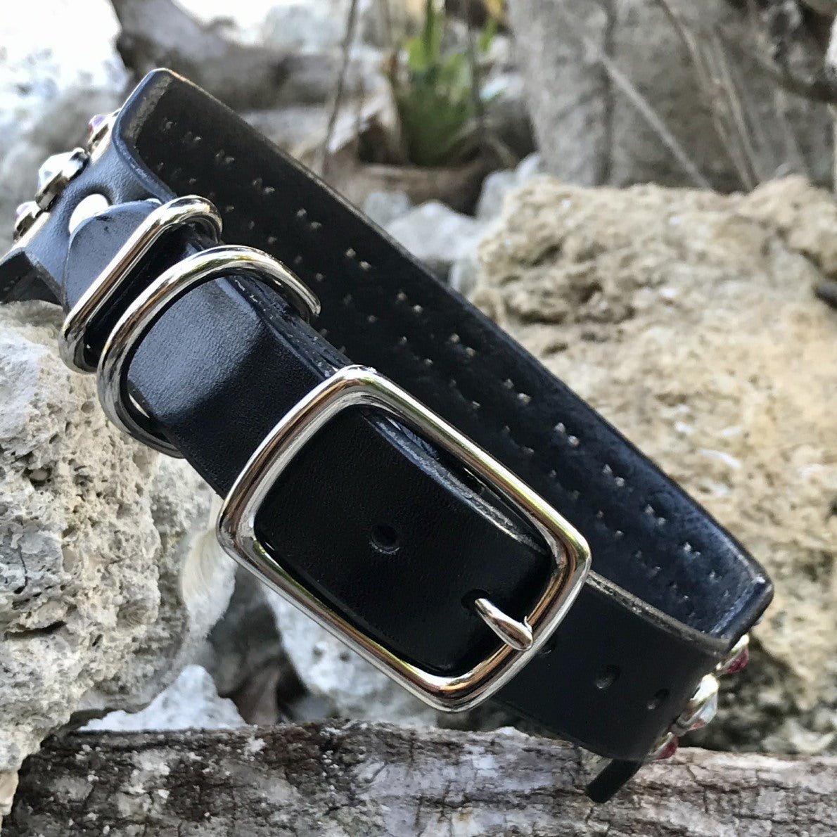 Premium Designer Leather Dog Collar - The Olympia - Stylish & Durable Pet Accessory for Walks, Training & Everyday Wear