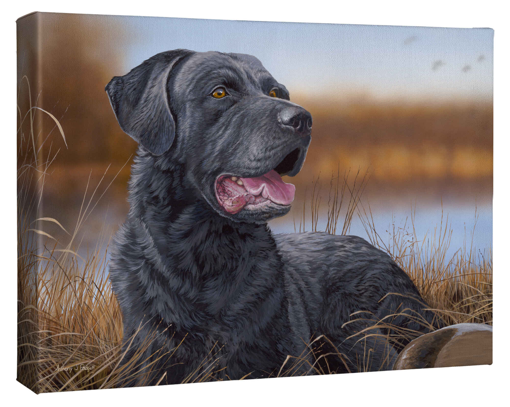 Great Expectations - Black Labrador Retriever Novel | Classic Literature Book for Adults & Students | Perfect for Book Clubs, Gifts & Classroom Reading