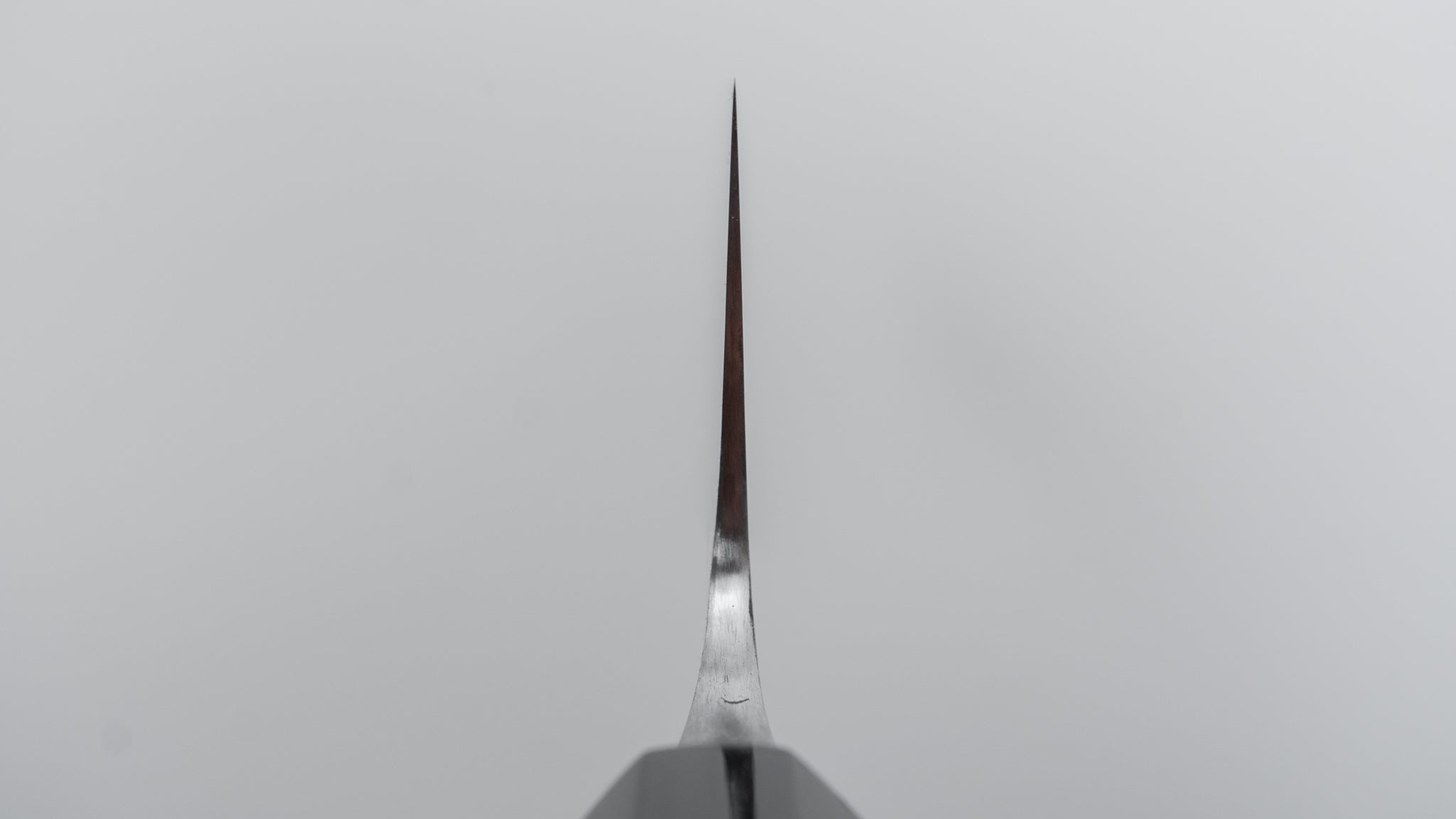 Jiro Tsuchime Wa Gyuto 240mm Japanese Chef Knife - Taihei Tagayasan Handle (#655) - Perfect for Sushi, Meat Cutting & Professional Kitchen Use