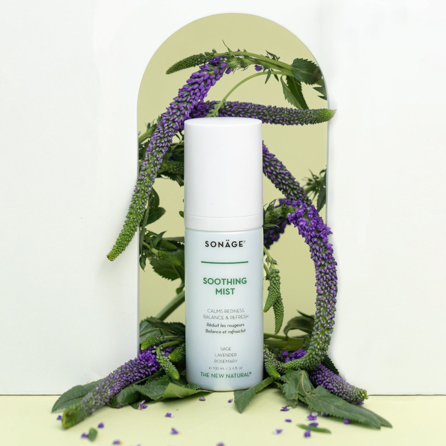Best Soothing Mist for Dry Skin | Hydrating Facial Spray with Aloe & Rosewater | Perfect for Travel, Gym & Office Refresh