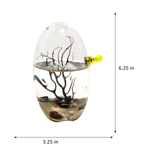 Self-Sustaining Glass Shrimp Ecosphere - Oval Shrimp Habitat Kit with Live Plants & Micro Ecosystem - Perfect for Home Office Decor, Science Education & Stress Relief Gifts