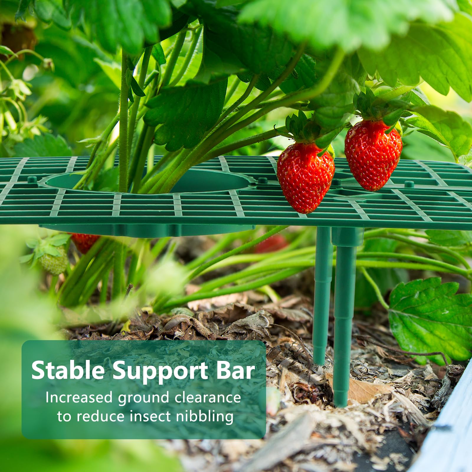 10 Pack Strawberry Plant Supports - Heavy Duty Metal Growing Stands for Healthy Strawberry Plants | Keeps Berries Clean & Off the Ground | Ideal for Garden, Raised Beds & Hydroponic Systems