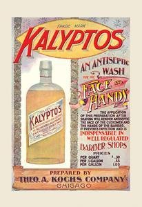 Kalyptos Antiseptic Wash for Barber Shops - 12x18 Inch Fine Art Canvas Print - Ideal for Salon Disinfection & Wall Decor