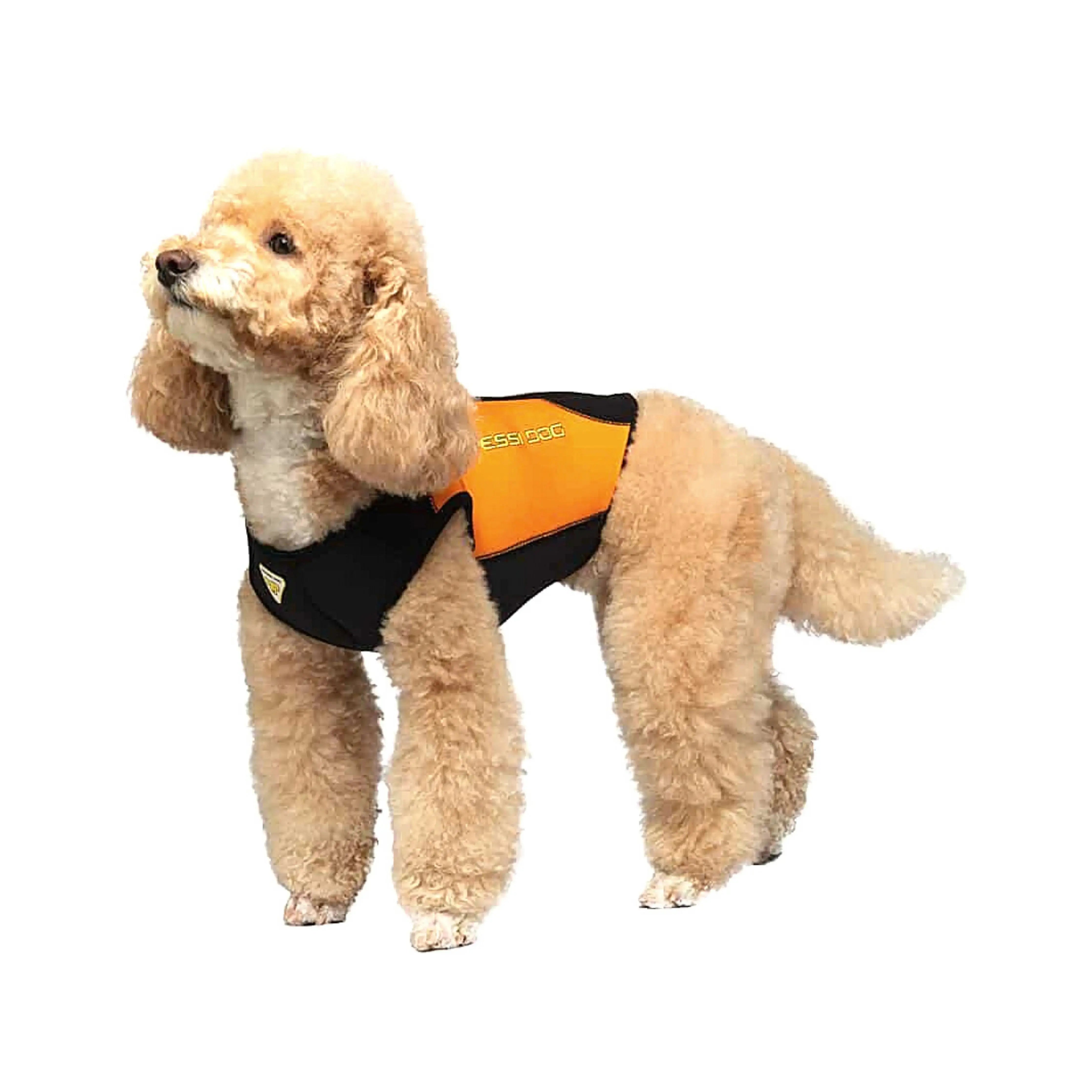 CRESSI Small Dog Wetsuit for Swimming & Water Sports - Neoprene Pet Wetsuit for Beach, Pool & Outdoor Adventures