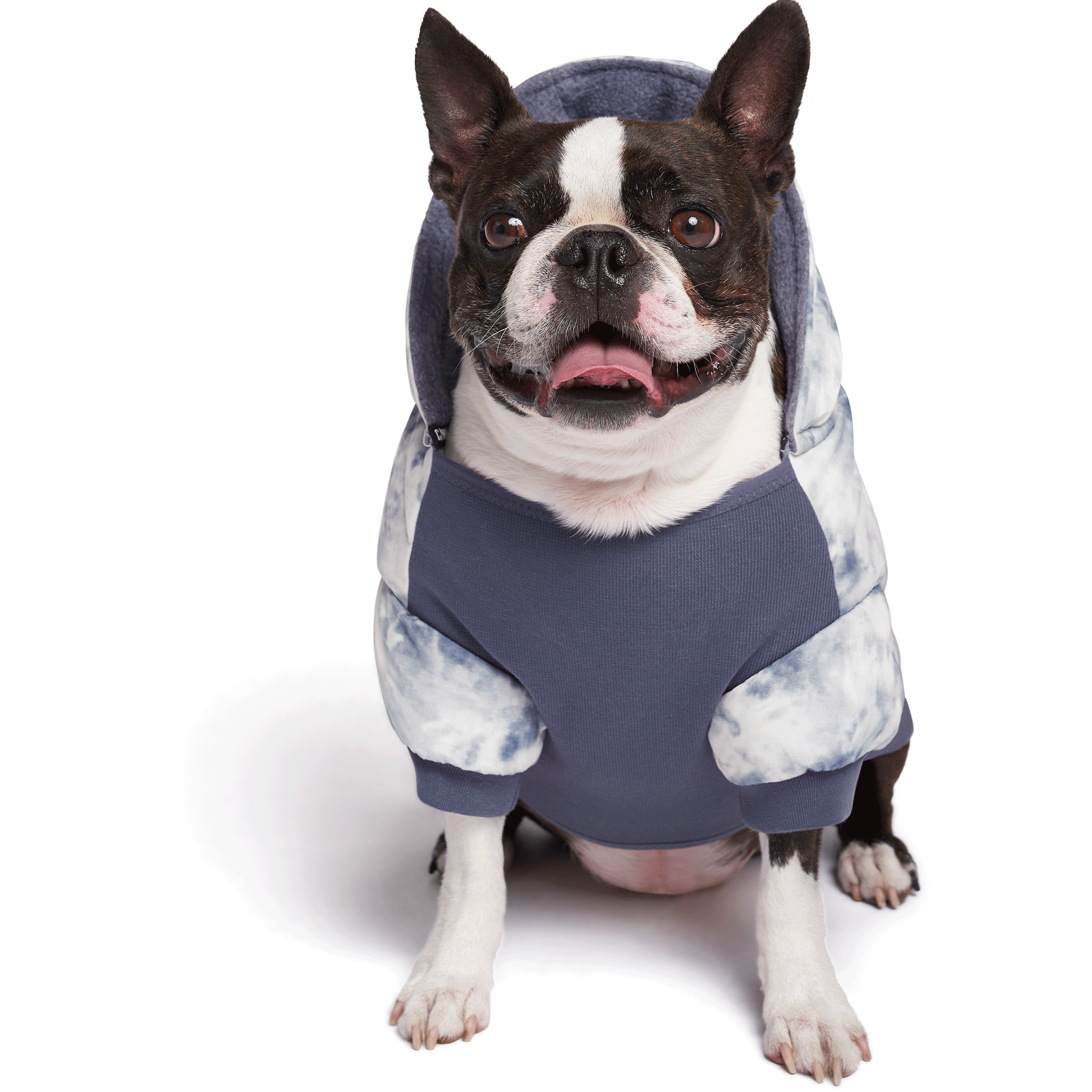 Canada Pooch Prism Puffer Dog Coat - Waterproof & Reflective Winter Jacket for Small, Medium & Large Dogs - Perfect for Cold Weather Walks & Outdoor Adventures