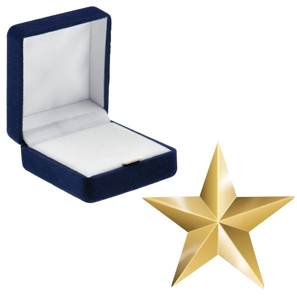 Premium Large Gold Star Pins with Blue Velvet Presentation Case - Bulk Awards for Teachers, Military, Police & First Responders - Perfect for Ceremonies, Recognition Events & Gift Giving
