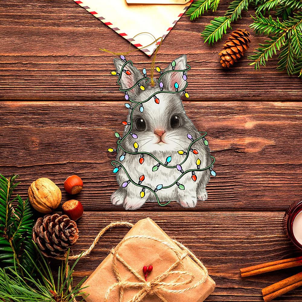 2-Piece Acrylic Bunny Christmas Ornaments Set - Cute Rabbit Decor for Home, Tree & Holiday Gifts - Perfect for Bunny Lovers, Xmas Decorations & Winter Home Accents