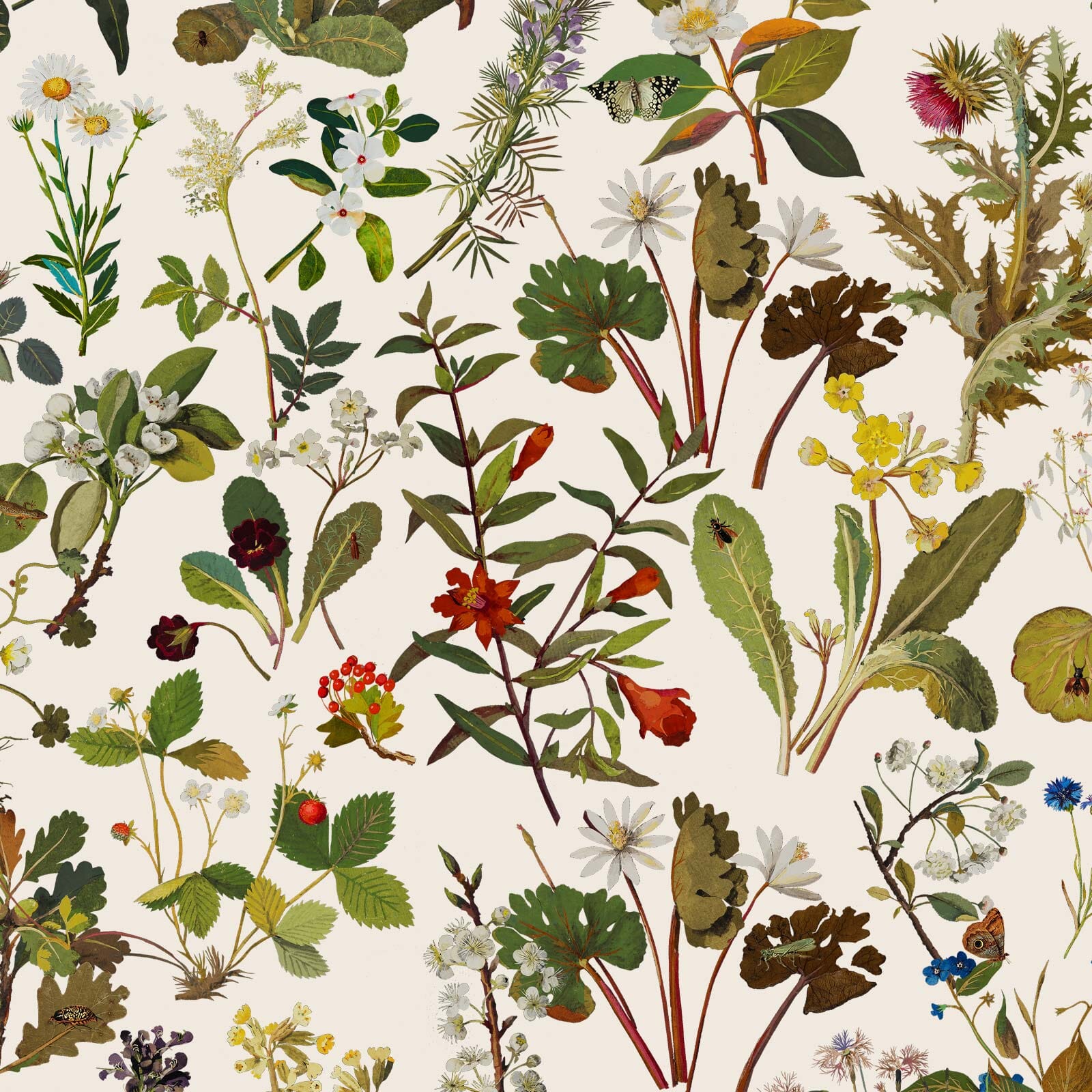 HERBARIUM Wallpaper Sample in Ecru - Premium Peel and Stick Wallpaper for Bedroom, Living Room & Home Decor