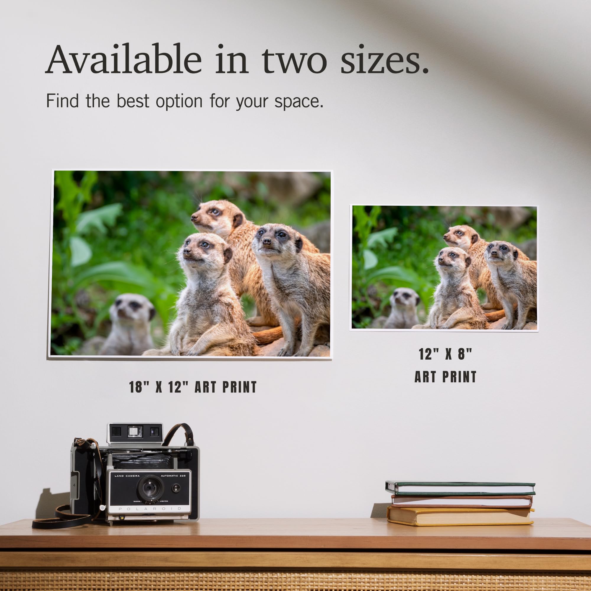 Lantern Press 12x18 Inch Meerkats Art Print - Premium Wall Decor for Living Room, Bedroom & Office - Wildlife Animal Photography Poster