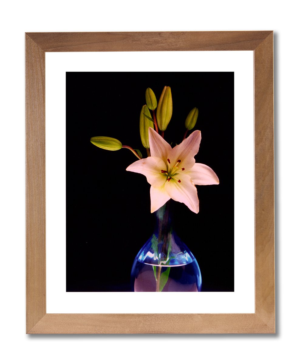 Lilly Flower Vase Wall Art - Honey Framed Picture Print for Home Decor | Perfect for Living Room, Bedroom & Office Wall Decor