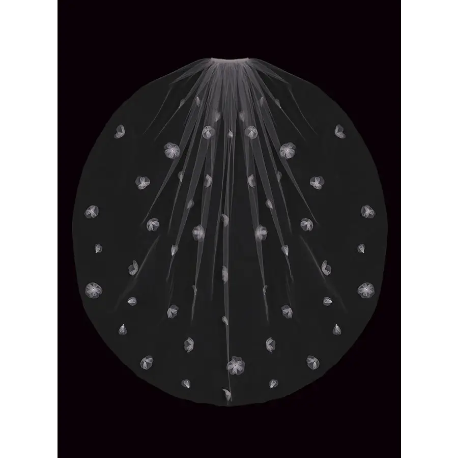 Bridal Veil V2290SF - Elegant Wedding Veil with Lace Trim for Brides, Perfect for Church Ceremonies & Outdoor Weddings