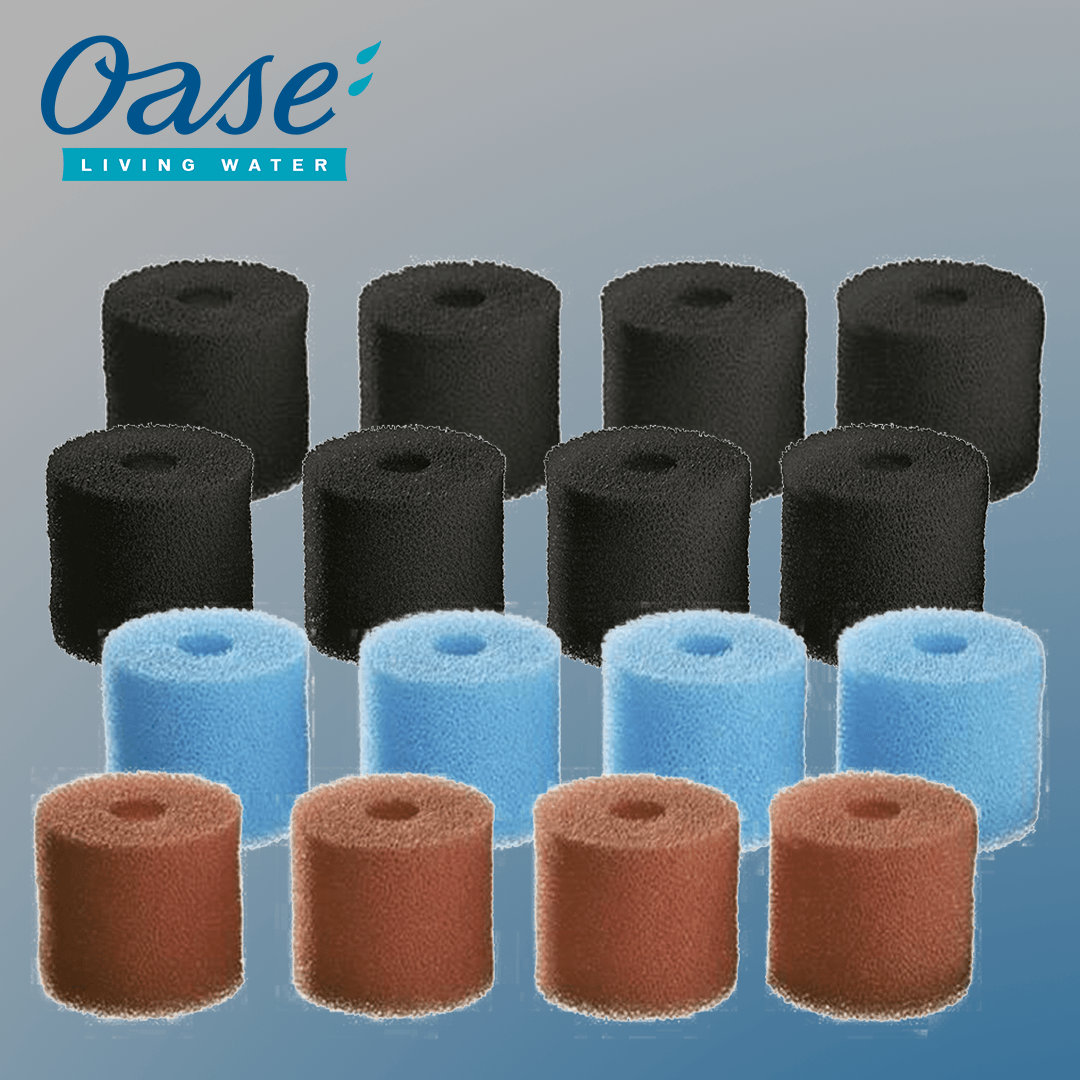 OASE BioMaster PreFilter Foam Set - 30/45/60ppi Aquarium Filter Sponge for Fish Tank Cleaning and Water Filtration - Perfect for Freshwater and Saltwater Aquariums