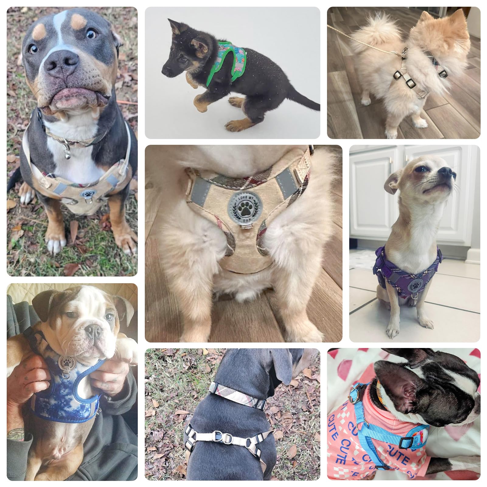 BEAUTYZOO No Pull Step-in Dog Harness with Leash Set - Adjustable Soft Mesh Reflective Vest for Small, Medium & Large Dogs - Comfortable Padded Design for French Bulldogs, Puppies & All Breeds - Perfect for Walking, Training & Outdoor Adventures