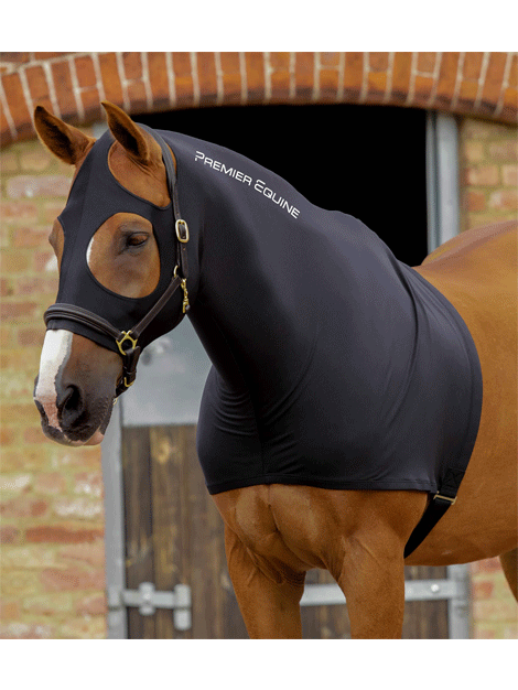 Premium Stretch Lycra Horse Hood - Breathable & Durable Equestrian Riding Gear for Training & Show Jumping