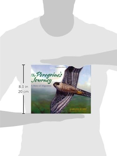 The Peregrine's Journey: A Story of Bird Migration - Perfect for Nature Lovers, Bird Watchers & Educational Reading