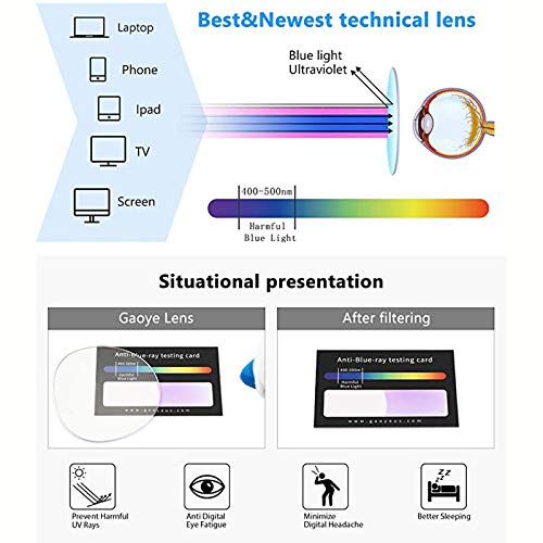 Blue Light Blocking Reading Glasses for Women - Fashion Rectangular Pure Titanium Computer Glasses (2 Pairs) - Perfect for Office Work, Screen Time & Digital Eye Strain Relief