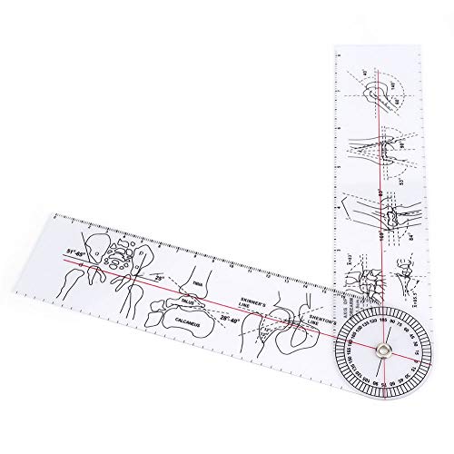 6/8/10 Inch Plastic Medical Spinal Goniometer - Accurate Angle Measurement Tool for Physical Therapy, Chiropractic & Rehabilitation - Perfect for Doctors, Therapists & Home Use